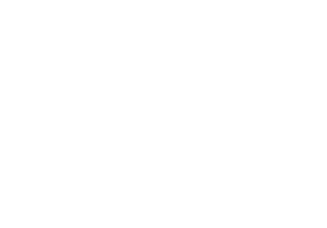 Salesforce-white