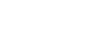 Plein Publique - Logo - wit