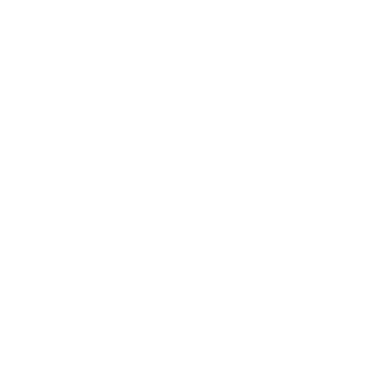 Vasco-logo-white