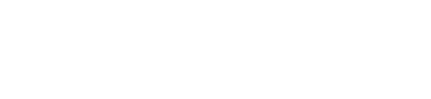 Lightspeed-logo-white