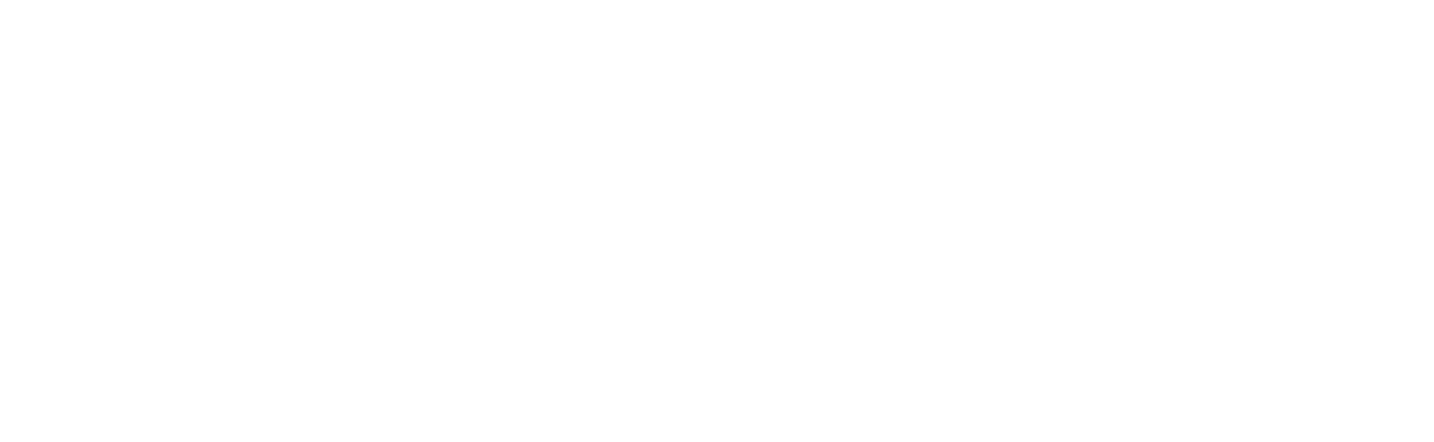 Netsuite-white