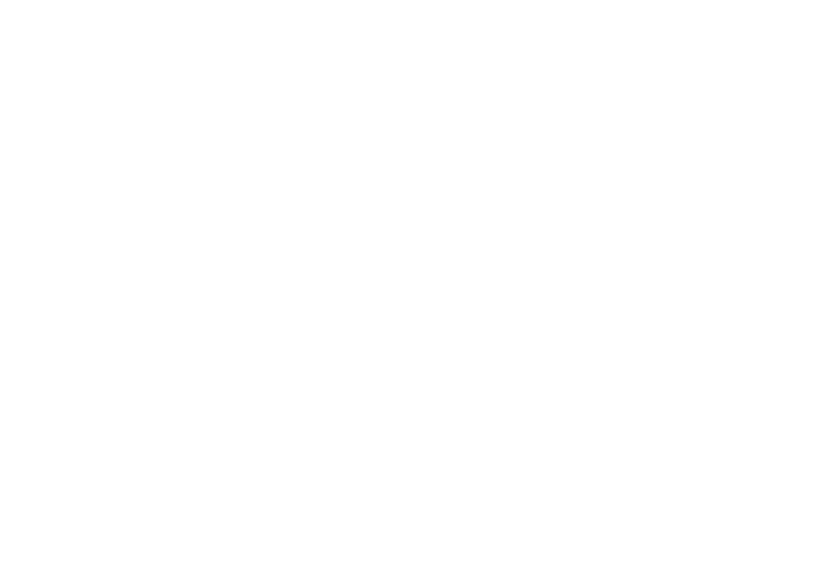 Salesforce-white