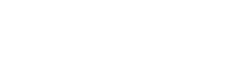 Bollux-Logo