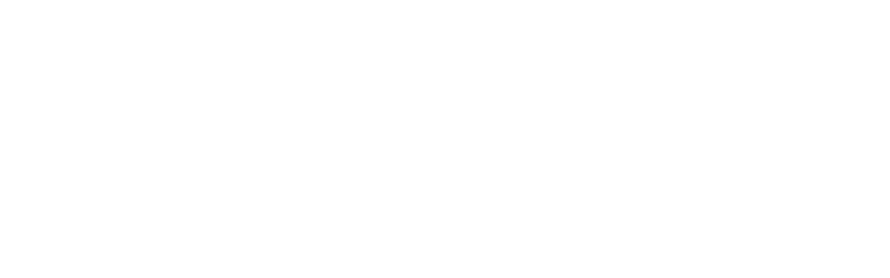 Bollux-Logo