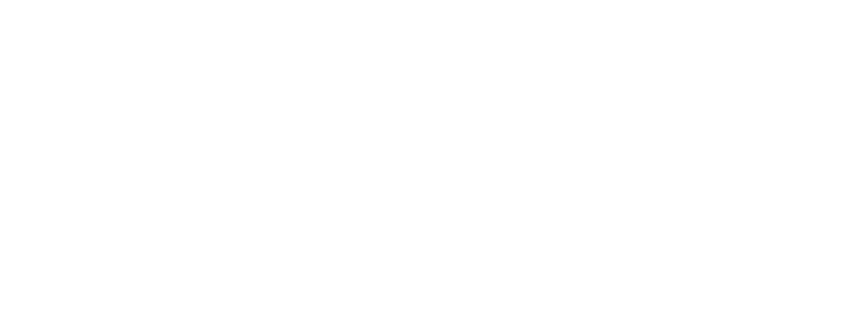 QLS logo