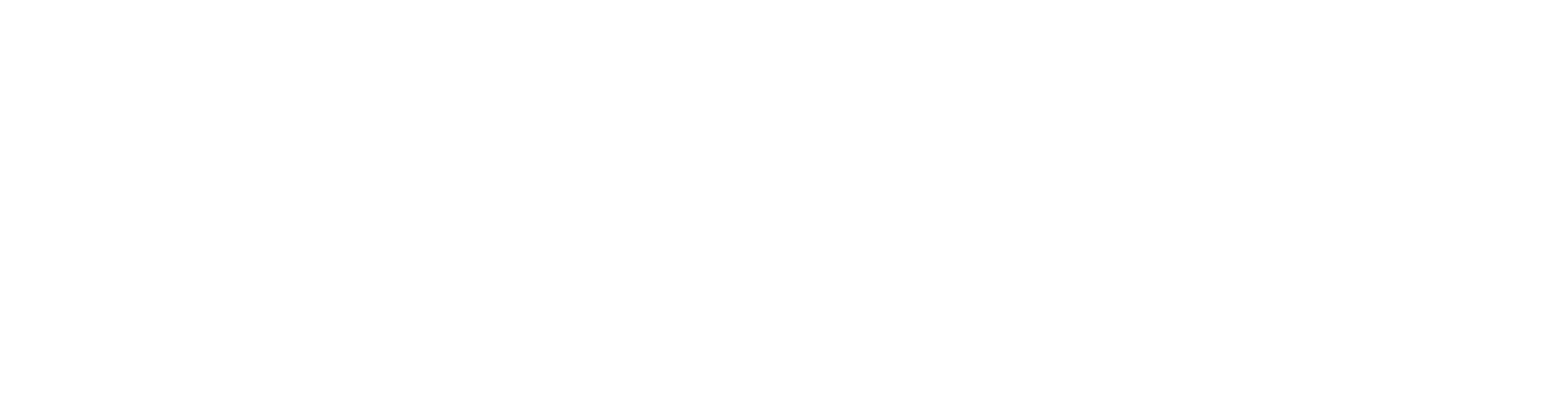 Ledloket_Logo_Wit