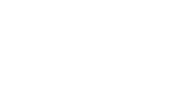 Plein Publique - Logo - wit