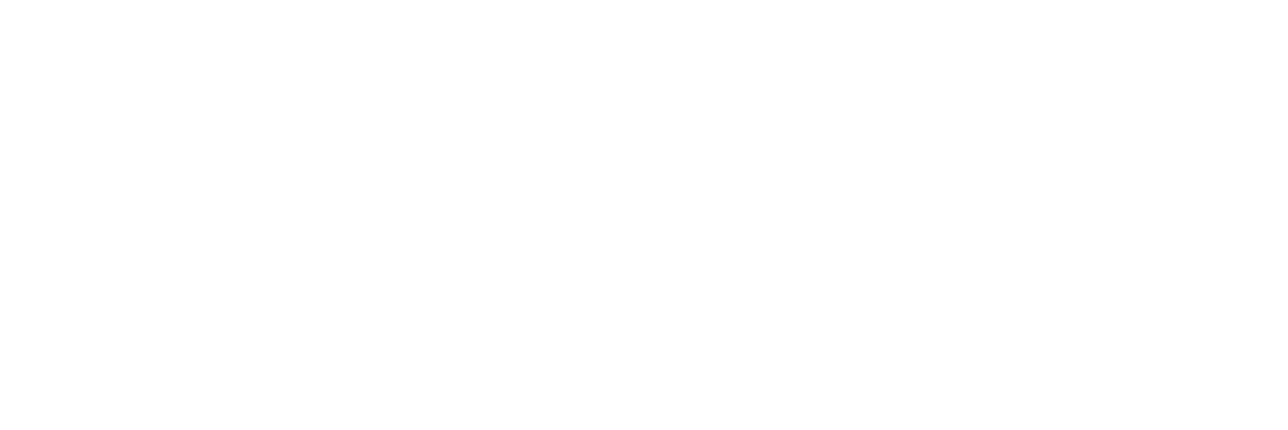 Spring logo wit